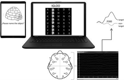 Screening for Cognitive Function in Complete Immobility Using Brain–Machine Interfaces: A Proof of Principle Study